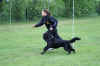 HCL 05. 2006 06000.jpg (145946 Byte)