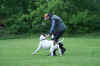HCL 05. 2006 08500.jpg (142210 Byte)