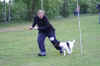 HCL 05. 2006 08800.jpg (149261 Byte)