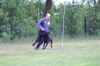 HCL 05. 2006 09200.jpg (191571 Byte)