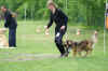 HCL 05. 2006 18400.jpg (126992 Byte)