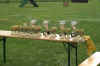 HCL 05. 2006 25100.jpg (164248 Byte)