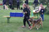 HCL 05. 2006 29100.jpg (169466 Byte)