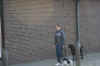 0260.jpg (127741 Byte)