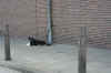 0320.jpg (126276 Byte)