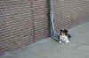 0360.jpg (138111 Byte)