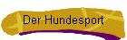 Welpenspiel Basisausbildung THS VPG Agility Obedience Hundeführerschein